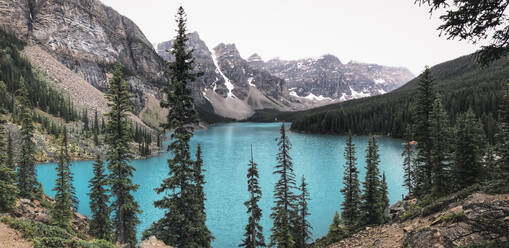 View of Moraine Lake and surrounding mountains through evergreen trees - CAVF63349