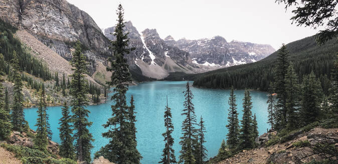 Blick auf den Moraine Lake und die umliegenden Berge durch immergrüne Bäume - CAVF63349