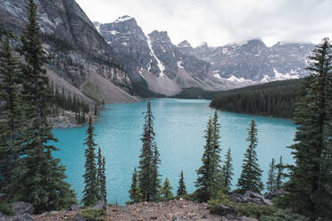 Blick auf den Moraine Lake und die umliegenden Berge durch immergrüne Bäume - CAVF63351