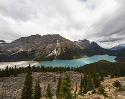 Panoramablick auf den türkisfarbenen Peyto Lake in den kanadischen Rockies. - CAVF63362