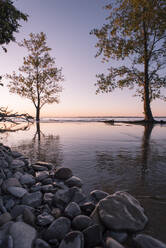 Summer sunrise on Lake Ontario with trees in the background. - CAVF63376