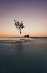 Langzeitbelichtung eines einsamen Baums und eines Felsens im Wasser des Ontariosees. - CAVF63377