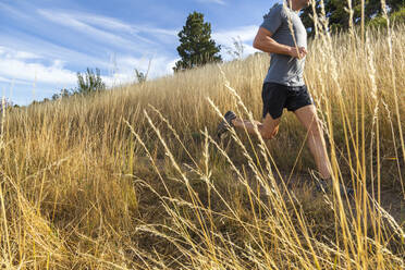 Mann läuft an hohem Gras vorbei auf dem Bear Canyon Trail in Boulder, Colorado - CAVF63392