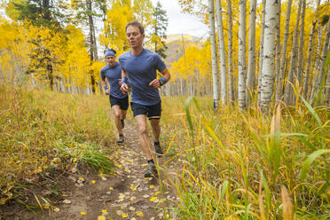 Männer-Trailrun durch Espenwald mit Herbstfärbung in Vail, Colorado - CAVF63417