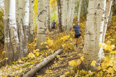 Männer-Trailrun durch Espenwald mit Herbstfärbung in Vail, Colorado - CAVF63422