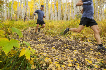 Männer-Trailrun durch Espenwald mit Herbstfärbung in Vail, Colorado - CAVF63423