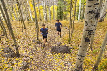 Männer-Trailrun durch Espenwald mit Herbstfärbung in Vail, Colorado - CAVF63428