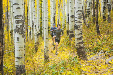 Männer-Trailrun durch Espenwald mit Herbstfärbung in Vail, Colorado - CAVF63434