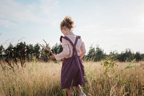 Rückansicht eines jungen Mädchens, das durch eine Wiese mit Wildblumen läuft - CAVF63658