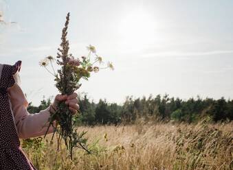 Junge Mädchen Hand hält ein Bündel von Wildblumen draußen bei Sonnenuntergang - CAVF63659