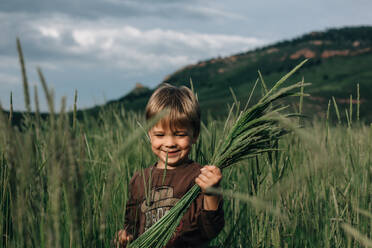 Kleiner Junge hält lächelnd Gras in einem Feld - CAVF63674