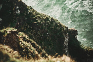 Grünes Gras auf den Felsen der normannischen Meeresküste - CAVF63823