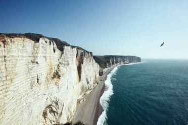 Möwe fliegt in den blauen Himmel zwischen den weißen Felsen der Normandie - CAVF63827