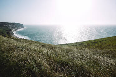 Grünes Gras an der Küste der Normandie an einem sonnigen Tag - CAVF63828