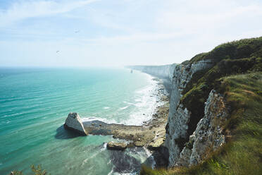 Schöne Felsen der Küste der Normandie mit Gras und fliegenden Möwen - CAVF63840