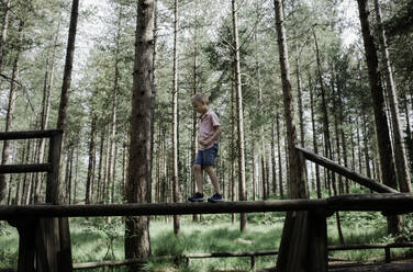 Young boy playing, walking across a high log in the forest outside - CAVF63865