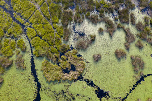 Luftaufnahme eines Sumpfes in Botswana - CAVF64019