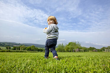 A little boy having fun on a green field in the country side, Caurel Brittany, France. - CAVF64138