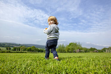 Ein kleiner Junge, der sich auf einer grünen Wiese auf dem Lande vergnügt, Caurel in der Bretagne, Frankreich. - CAVF64138