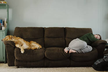 Golden Retriever und Teenager-Mädchen legen sich auf die Couch im Haus. - CAVF64182