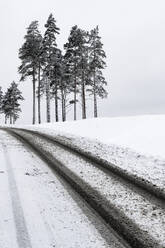 Winterlandschaft - JOHF01950