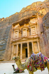 Camels in front of Al-Kazneh, the Treasury, Petra, Jordan - CAVF64333