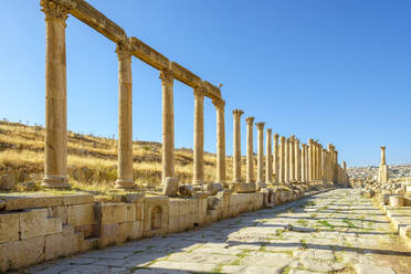 Kolonnadenstraße in der antiken römischen Stadt Gerasa, Jerash, Jordanien - CAVF64454