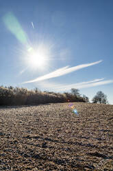 Germany, Baden Wuerttemberg, Tauber Valley, Uissigheim, hoarfrost on field at sunrise in winter - EGBF00327