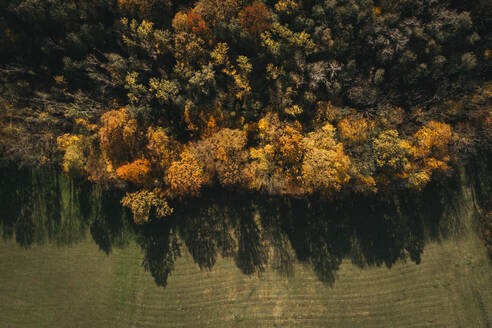 Österreich, Niederösterreich, Luftaufnahme eines bunten Herbstwaldes - HMEF00604