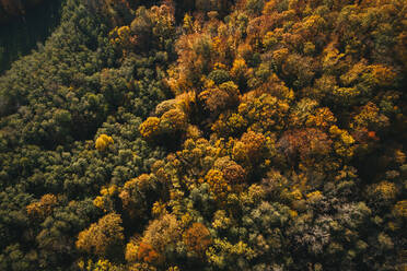 Österreich, Niederösterreich, Luftaufnahme eines bunten Herbstwaldes - HMEF00605