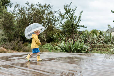 Preschooler holding an umbrella splashing in puddles - CAVF64499