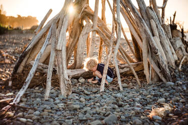 Small child playing in driftwood structure at dusk - CAVF64501
