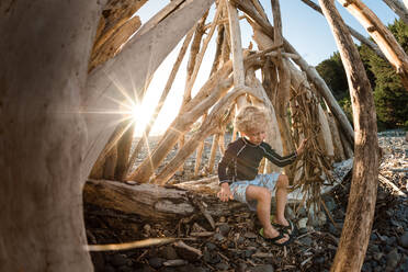 Kleiner Junge spielt an einem sonnigen Abend in einer Treibholzstruktur - CAVF64502