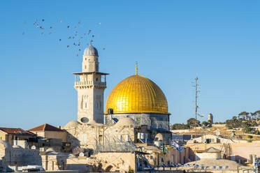 Dome of the Rock and buildings in the old city, Jerusalem - CAVF64520