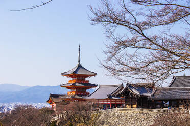 Touristen besuchen den Kiyomizu-dera-Tempel zur Zeit der Kirschblüte. - CAVF64535