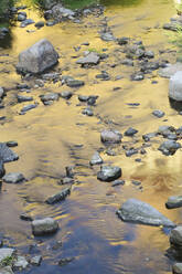 Water reflxions in a river with stones - JTF01361