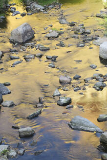 Wasserreflxionen in einem Fluss mit Steinen - JTF01361