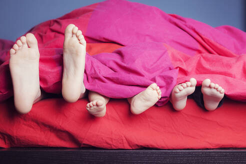 Feet of three siblings lying side by side in bed - XCF00266