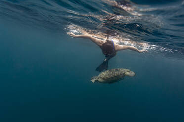 Man diving with turtle, Gili island, Bali - KNTF03632