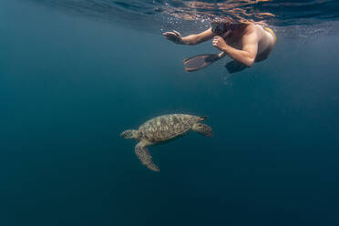 Mann taucht mit Schildkröte, Insel Gili, Bali - KNTF03633