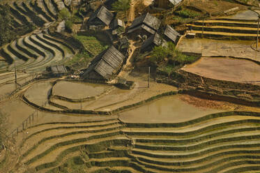 Traditionelles Hmong-Dorf mit Reisfeldern - CAVF64634