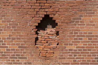 Netherlands, Zeeland, Veere, Westenshouwen, hole in red brick wall - CHPF00592