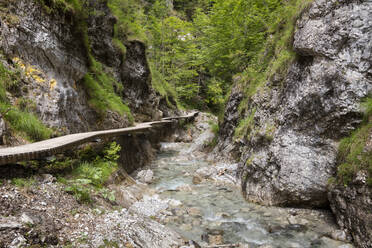 Österreich, Tirol, Erpfendorf, Promenade entlang des Griesbachs in der Griesbachklamm - WIF04075