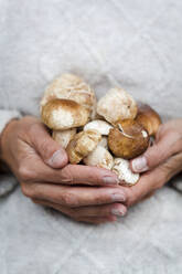 Nahaufnahme einer Frau mit frischen Porcini - HMEF00617