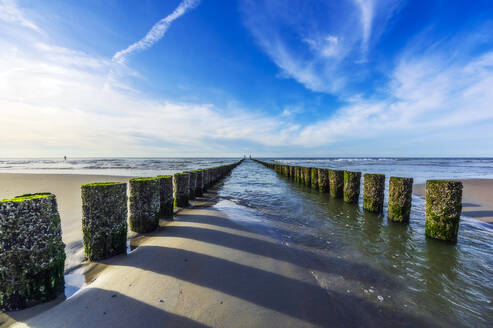 Niederlande, Zeeland, Domburg, Wellenbrecher am Strand - THAF02609