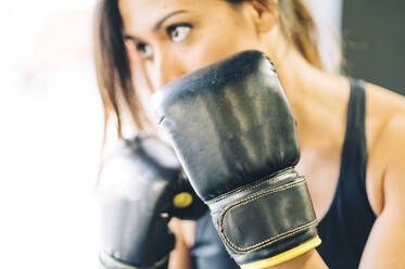 Weiblicher Boxer in Pose - CJMF00034