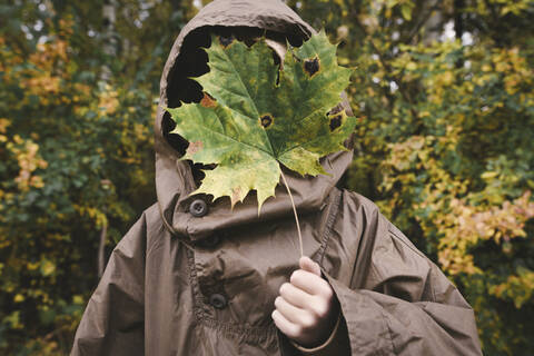 Junge in braunem Regenmantel versteckt sein Gesicht hinter einem herbstlichen Ahornblatt, lizenzfreies Stockfoto