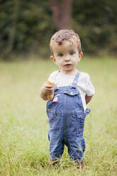 Portrait of little boy wearing denim dungarees standing on a meadow - XCF00272