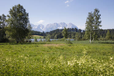 Austria, Tyrol, Kitzbuehel, Schwarzsee swamp with Kaiser mountains in background - WIF04079
