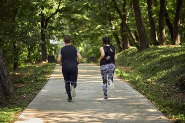 Rückansicht eines sportlichen Paares beim Laufen auf einem Waldweg - ZEDF02626